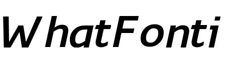 Monitor SemiBold Italic