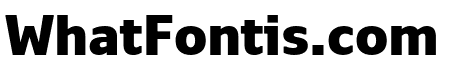 Monitor SemiCondensed Black Black
