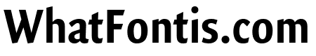 Quadraat Sans Condensed Bold