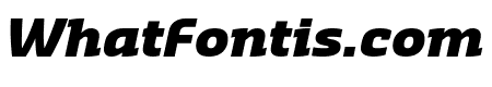 Sansa Slab Black Italic