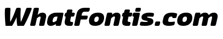 Sansa Soft  Black Italic