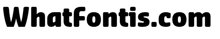 Sansa Soft Condensed Black