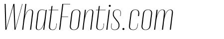 Cobertura 04 Thin Italic