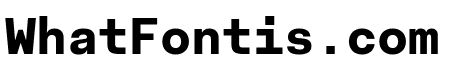Fakt Mono Bold