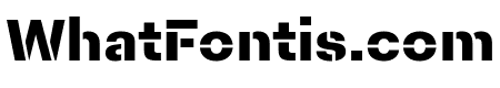 Fakt Stencil Black