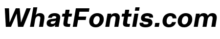 Fakt Bold Italic
