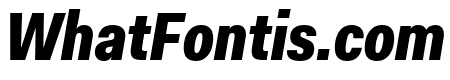 Fakt Condensed Black Italic