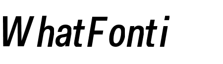 Fakt Condensed Medium Italic