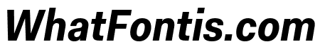 Fakt SemiCondensed Bold Italic