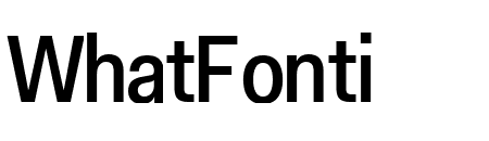 Fakt SemiCondensed Medium
