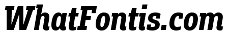 Fakt Slab Condensed Bold Italic