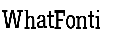 Fakt Slab Condensed Normal