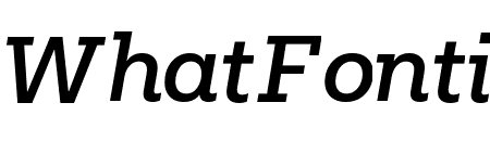Fakt Slab Medium Italic