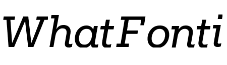 Fakt Slab Normal Italic