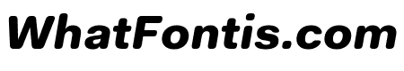 Fakt Soft Black Italic
