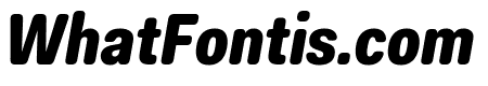 Fakt Soft Condensed Black Italic