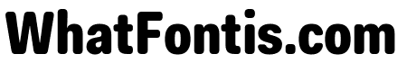 Fakt Soft Condensed Black