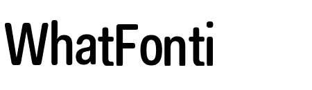 Fakt Soft Condensed Medium