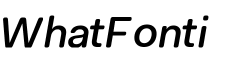 Fakt Soft Medium Italic