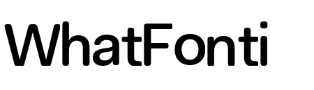 Fakt Soft Medium