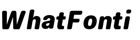 Fakt Soft SemiCondensed Black Italic