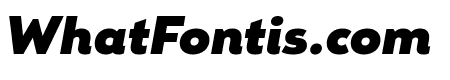 Remo Black Black Italic