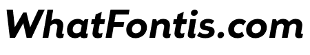 Remo Bold Italic