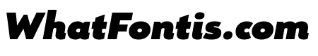 Remo Plus Ultra Ultra Italic