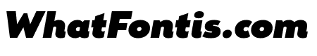 Remo Ultra Ultra Italic