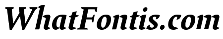 Lirico Black Italic