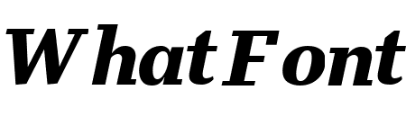 Stan Plus Black Italic
