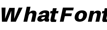 Finis Text Black Italic