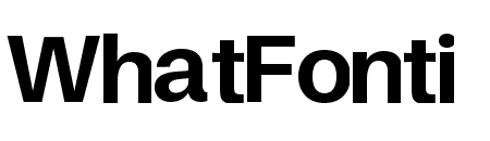 Finis Text Bold