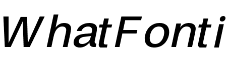 FinisText-MediumItalic