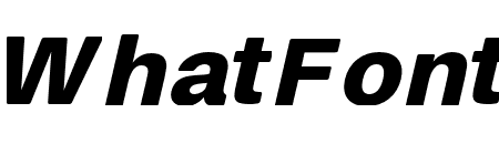 FinisTextSoft-BlackOblique