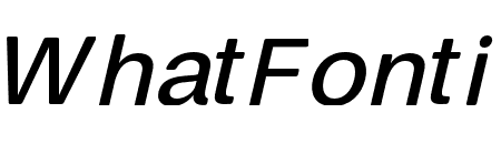 FinisTextSoft-MediumOblique