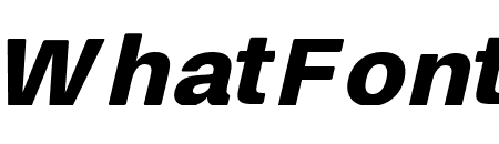 Finis Text Soft Black Oblique