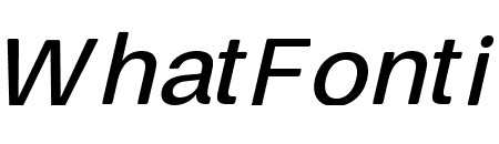 Finis Text Soft Medium Oblique