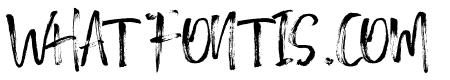 DecemberBrush