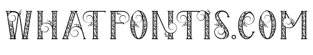 The Florest Deco Outline