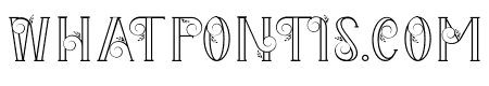The Florest Outline