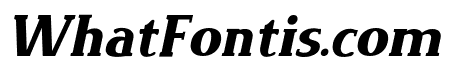 Rexo Black Italic