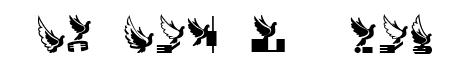 Flying Birds Regular