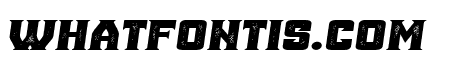 Ana Grunged Italic