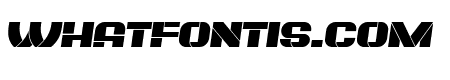 Plagiat Book Italic