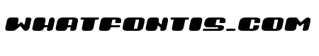 Guest Italic