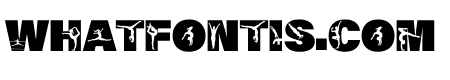 212 Gymnastics