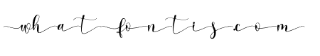 Carlista Stylistic 01