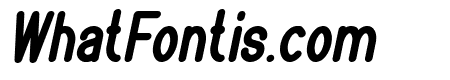 BOOKMARK Bold Italic