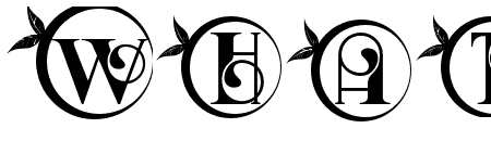 MONOGRAM13 Regular